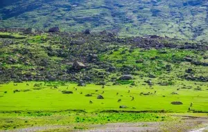 Exploring the Hidden Gems: A Trekking Expedition in the Atlas Mountains 2 Scenic view of trekkers enjoying the stunning landscapes and fresh air in the Atlas Mountains, highlighting the benefits of hiking.